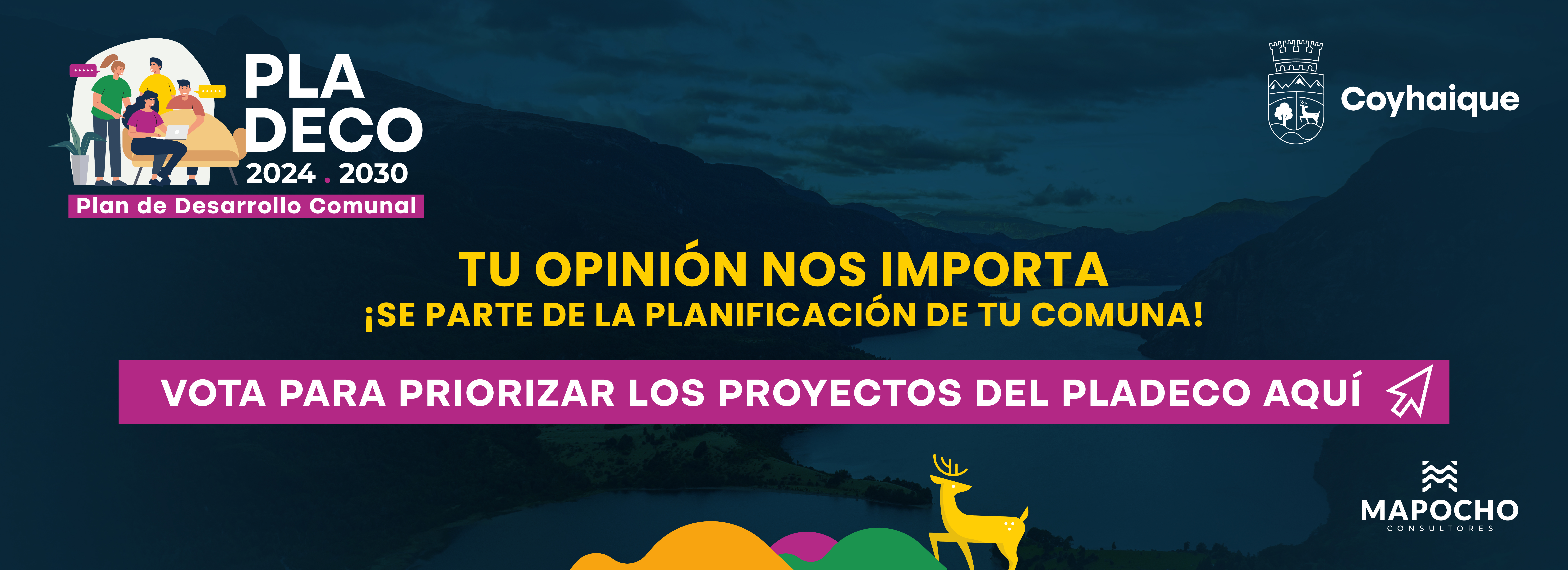 PLADECO 2025